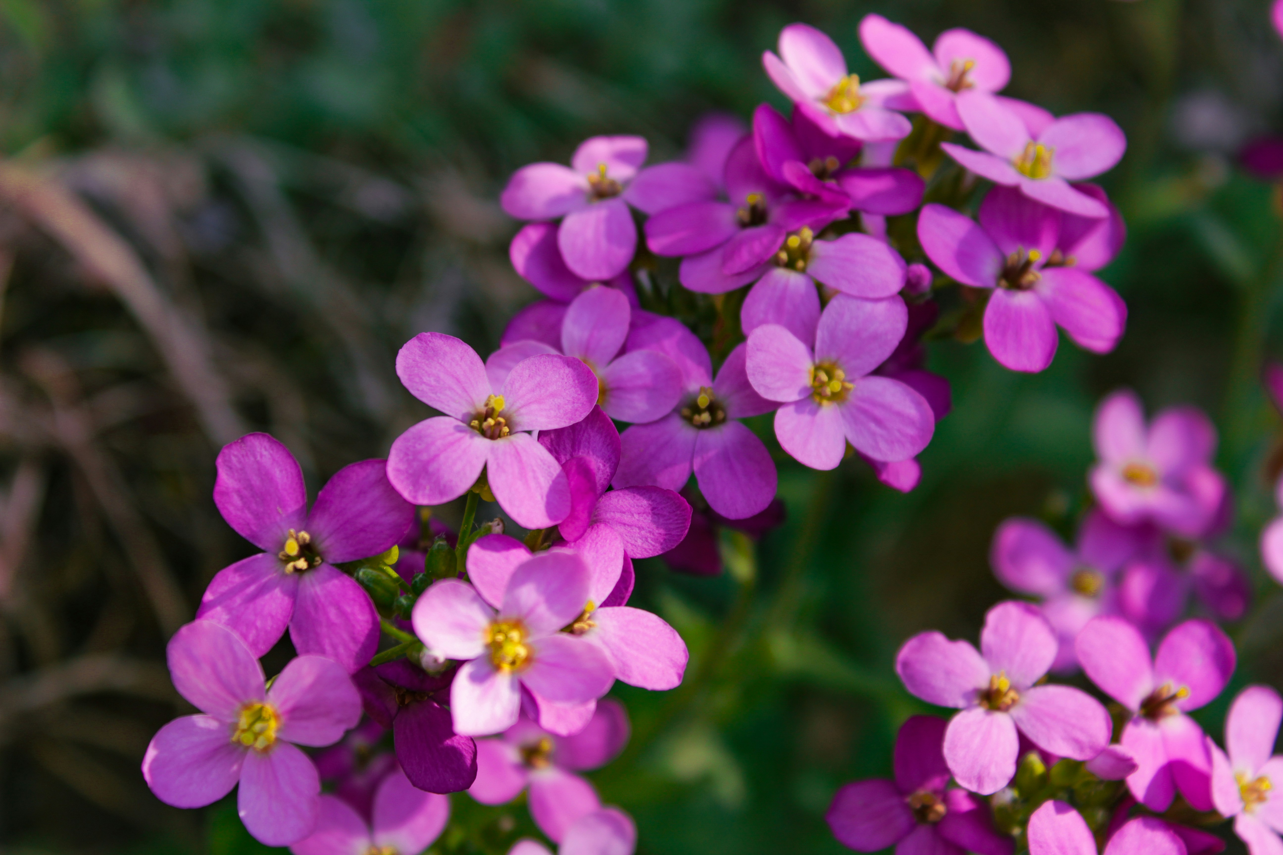 Photo by katherinestpierre