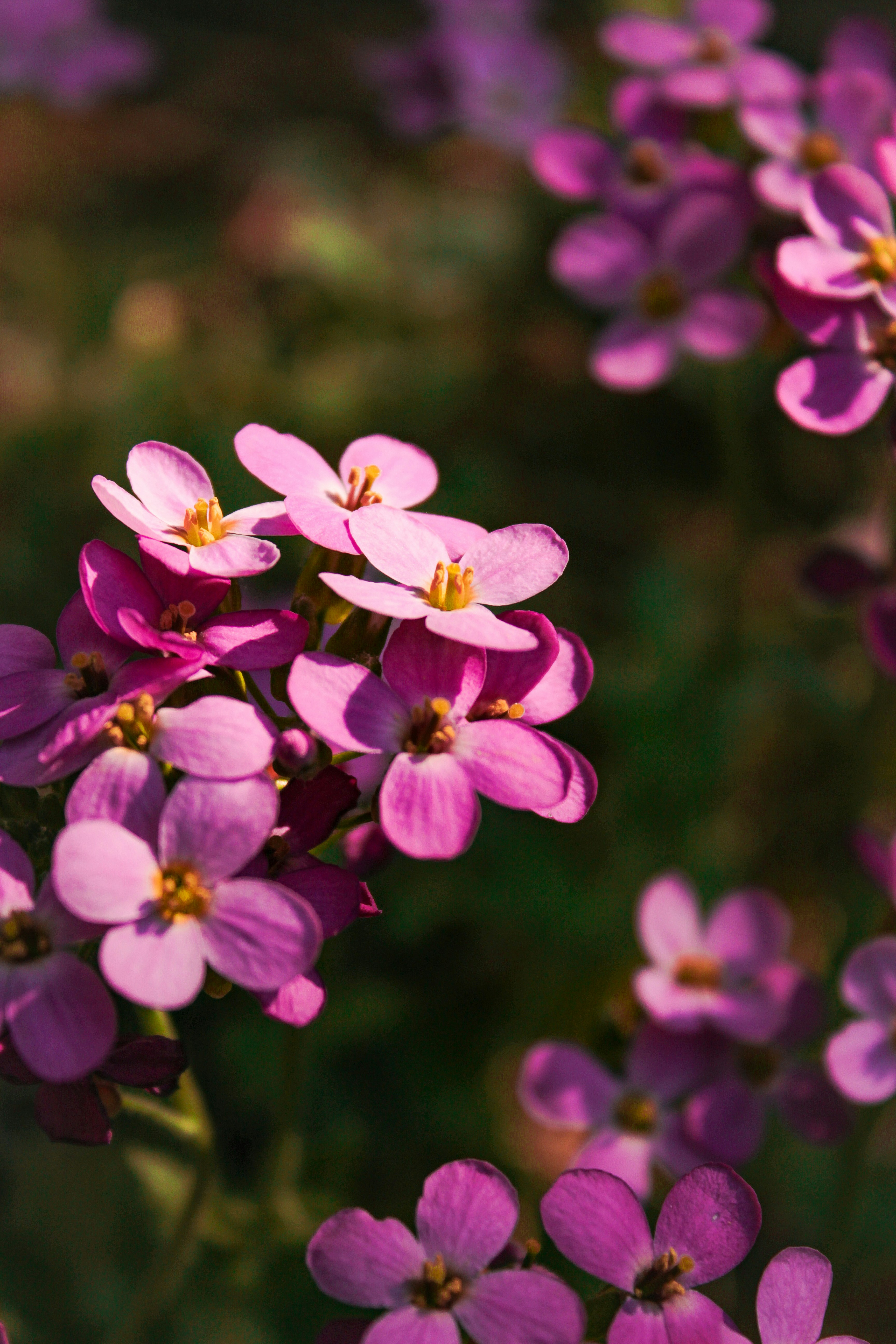 Photo by katherinestpierre