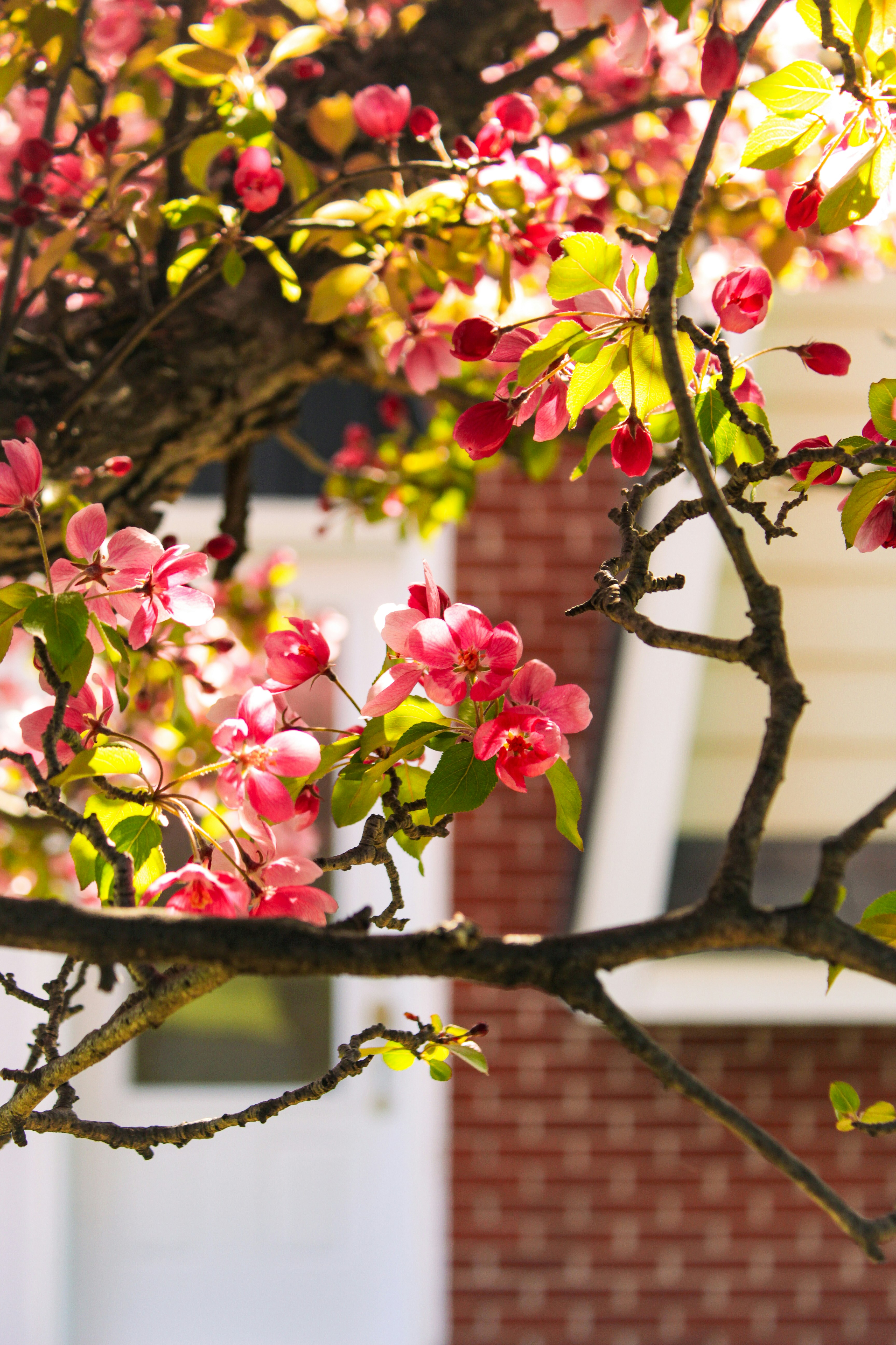 Photo by katherinestpierre