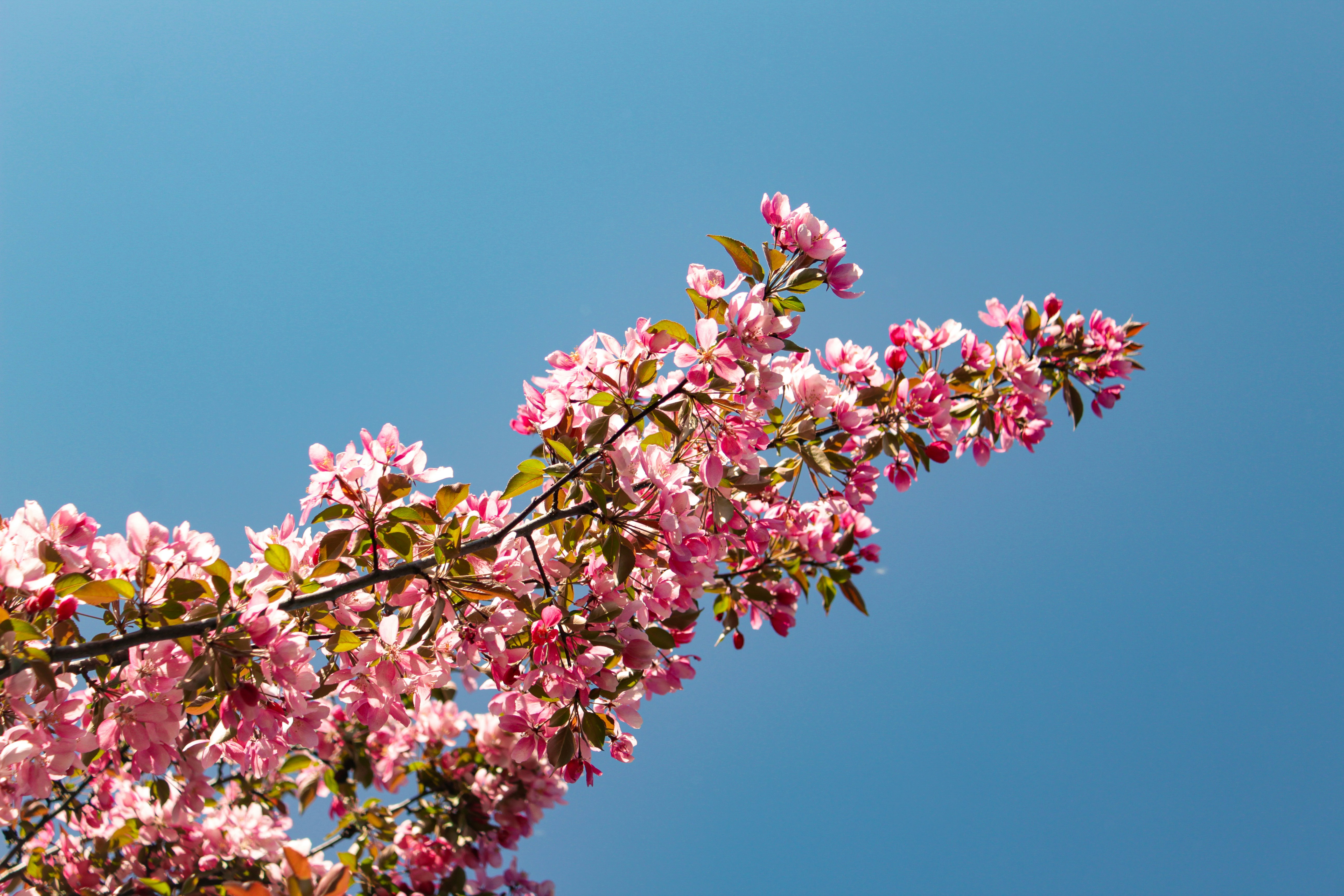 Photo by katherinestpierre