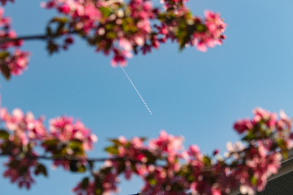a kite flying through a blue sky with pink flowers
