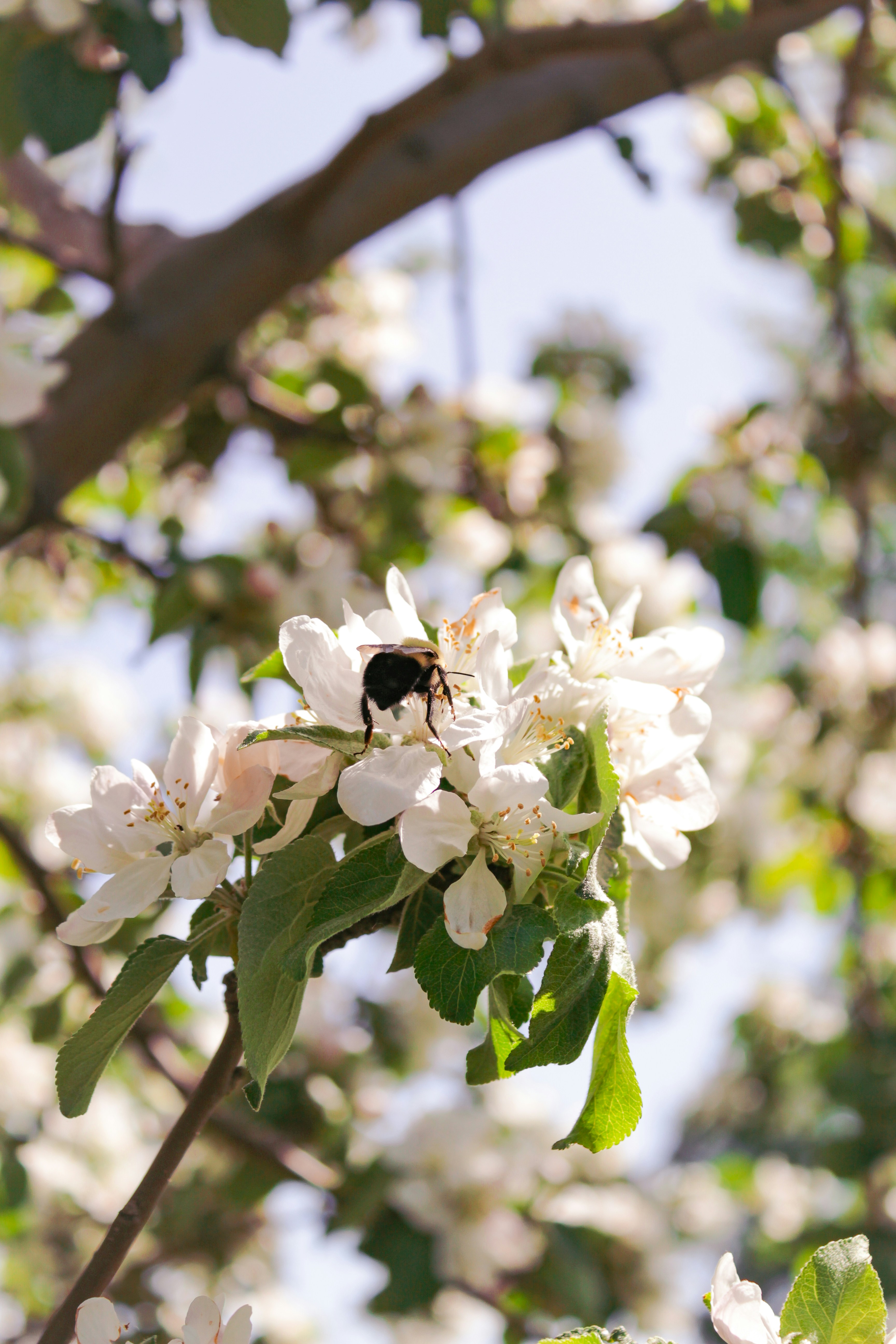 Photo by katherinestpierre