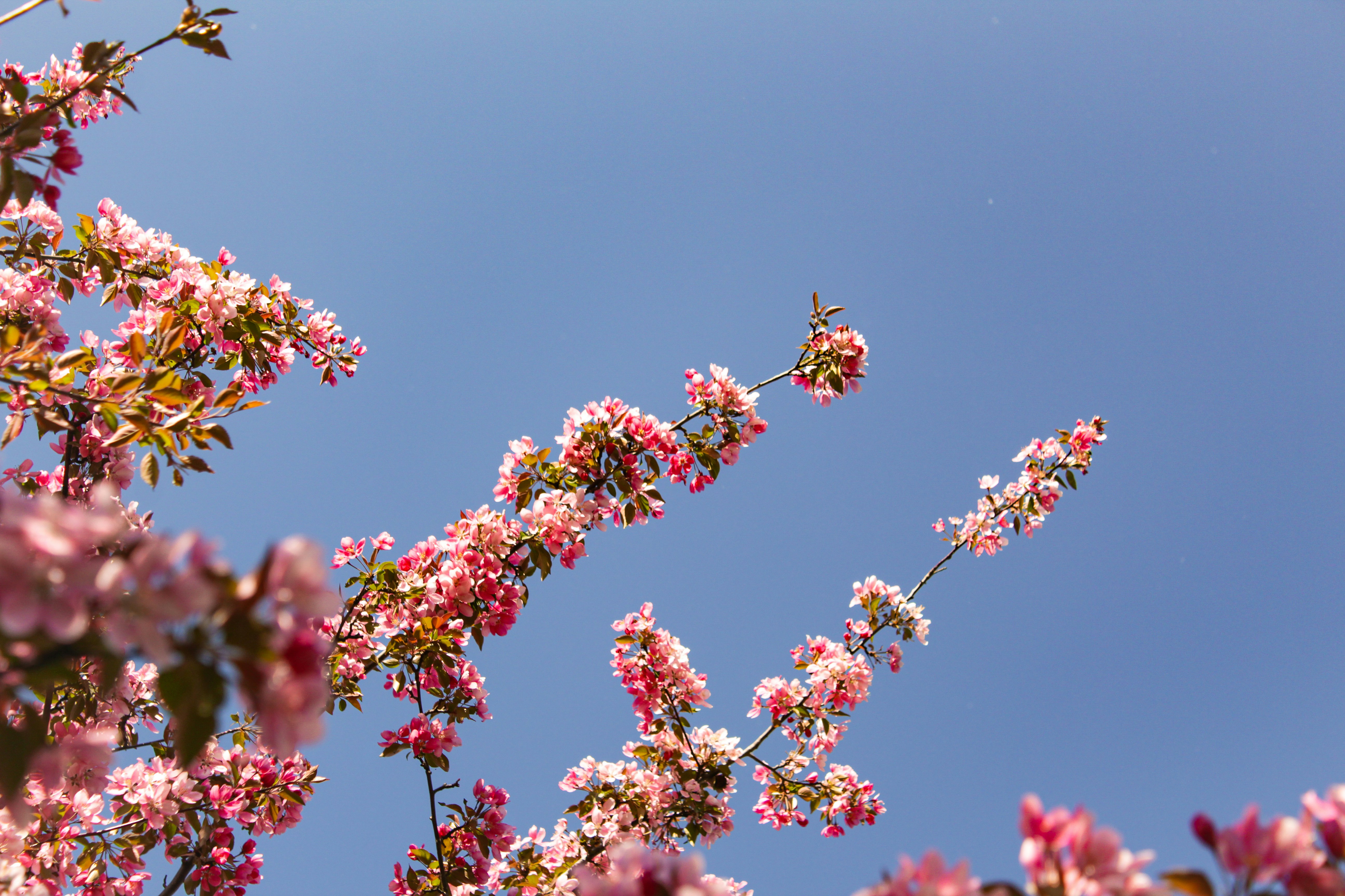 Photo by katherinestpierre