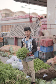 Bunches of fresh coriander leaves bundled neatly on a market stall.