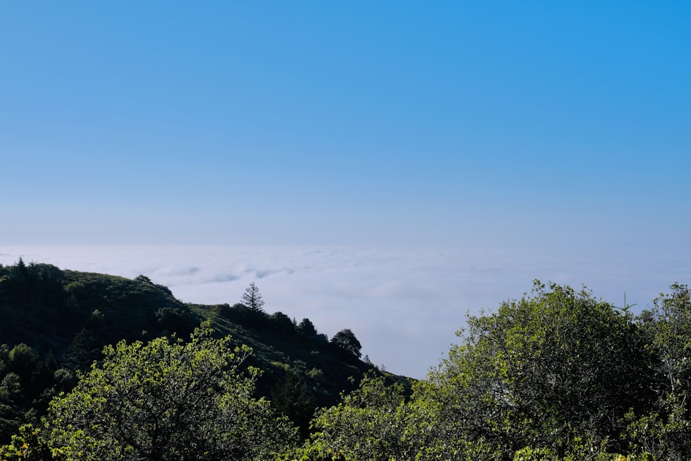 a view of a hill with trees and clouds in the background