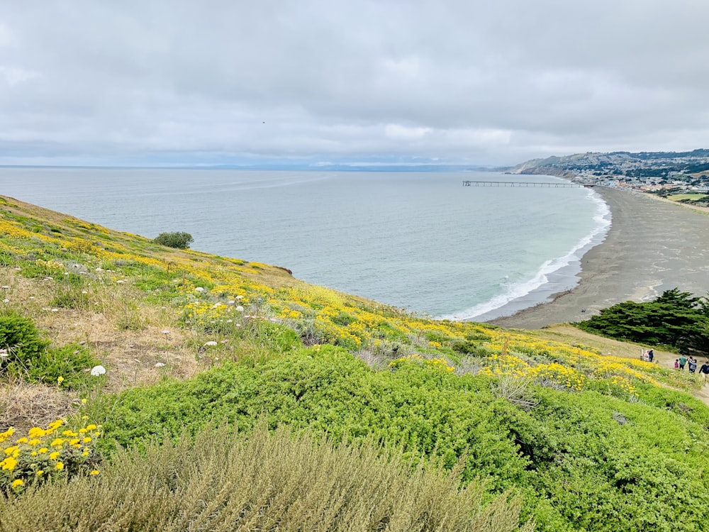 a view of the ocean from a hill