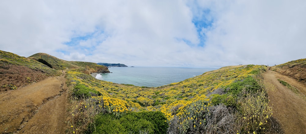 a view of the ocean from the top of a hill