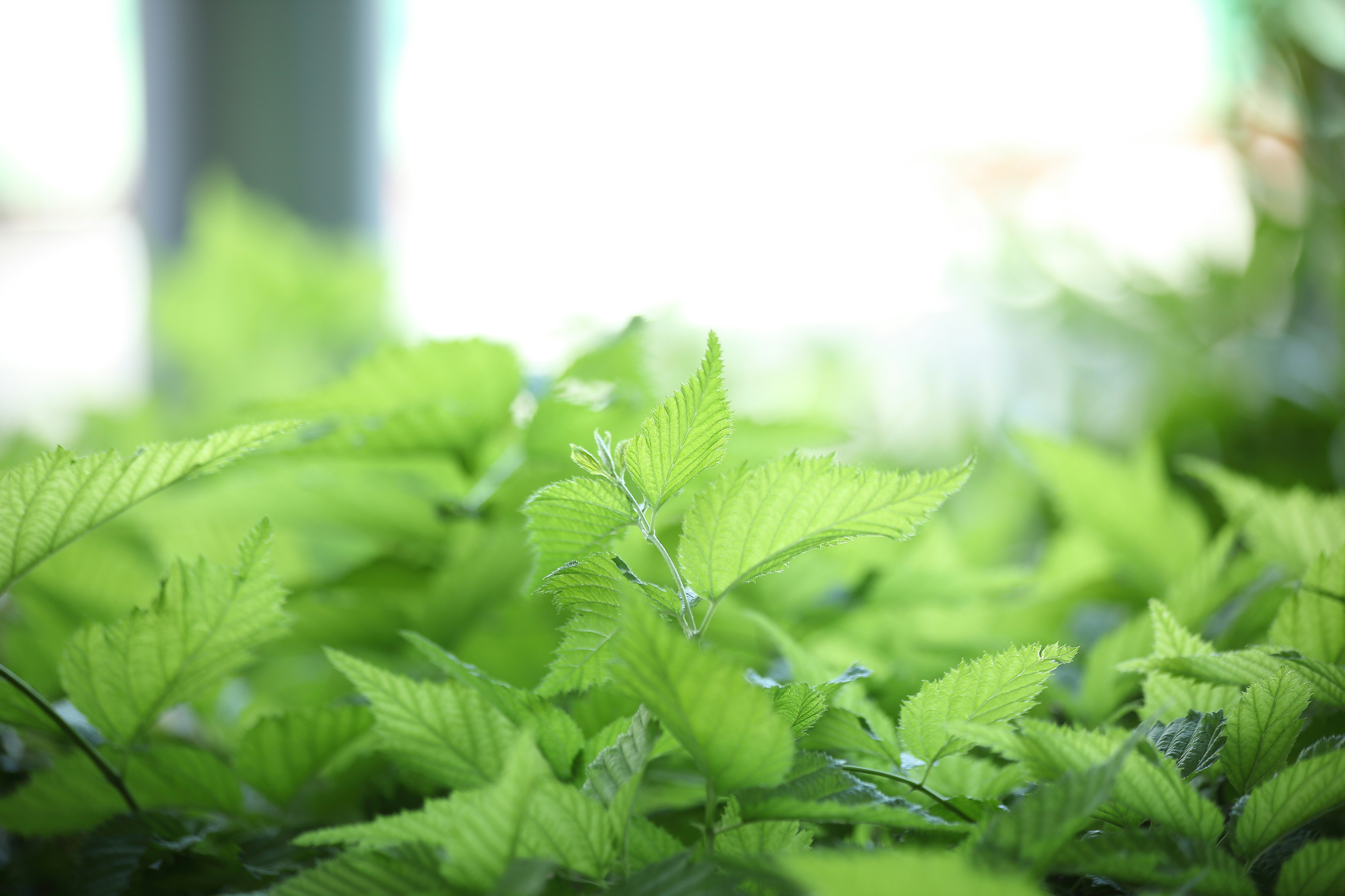 Photo by takatsuchida