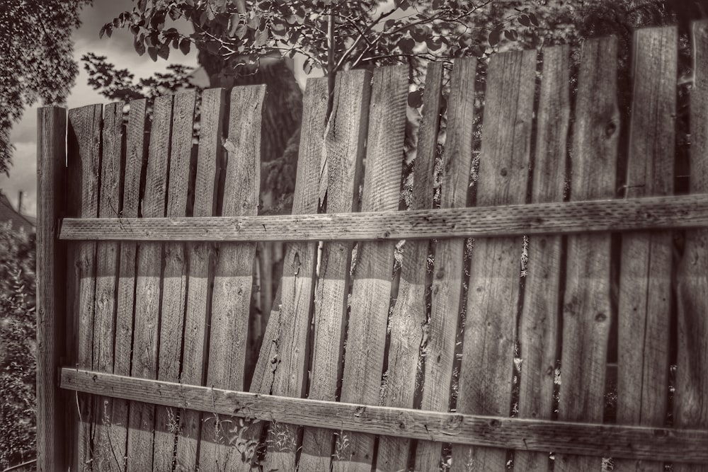a wooden fence with vines growing on it