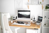 A modern workspace with a clean desk, monitor, and plants.