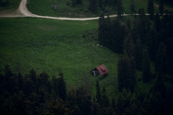 A small rustic cabin with a red roof sits surrounded by dense, dark green forest and a lush green clearing. The scene is rural and isolated, with a dirt path curving in the background.