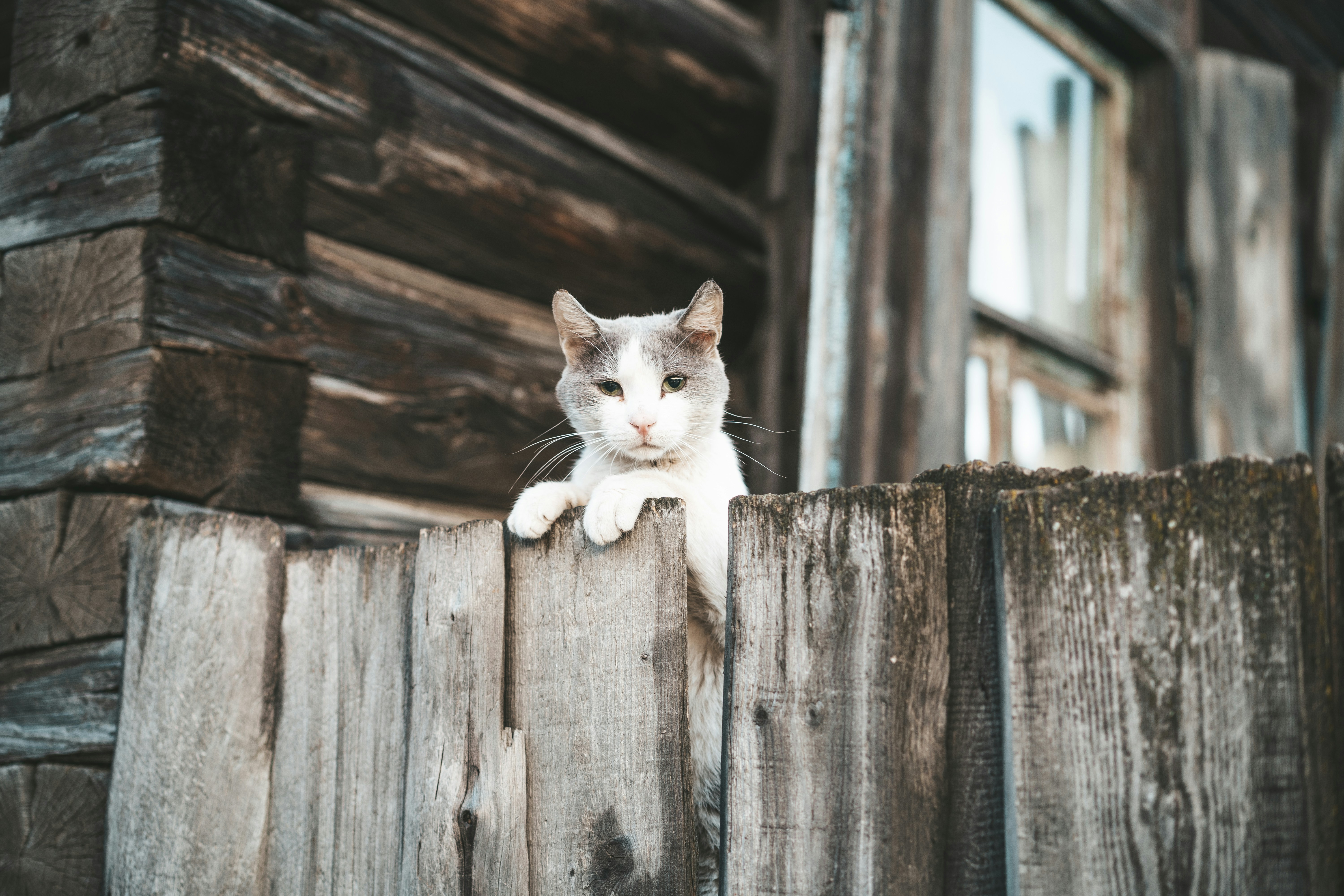 Photo by anamnesis33