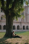 A child reading a book under a tree in a park.