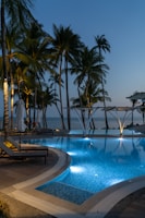 Night view of a villa with illuminated pool and palm trees swaying gently.