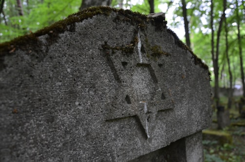 A weathered tombstone covered with moss is situated in a lush, green forest. The surface of the tombstone features a prominently carved Star of David. The surrounding area is densely forested, with sunlight filtering through the leaves.
