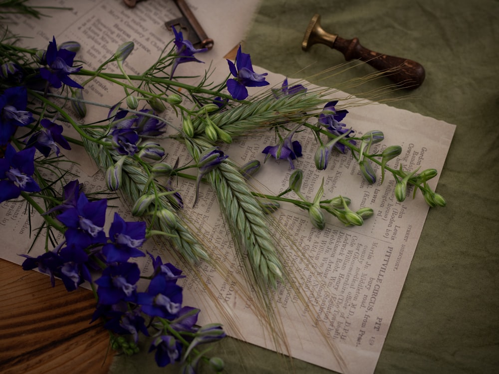 a bunch of blue flowers sitting on top of an open book