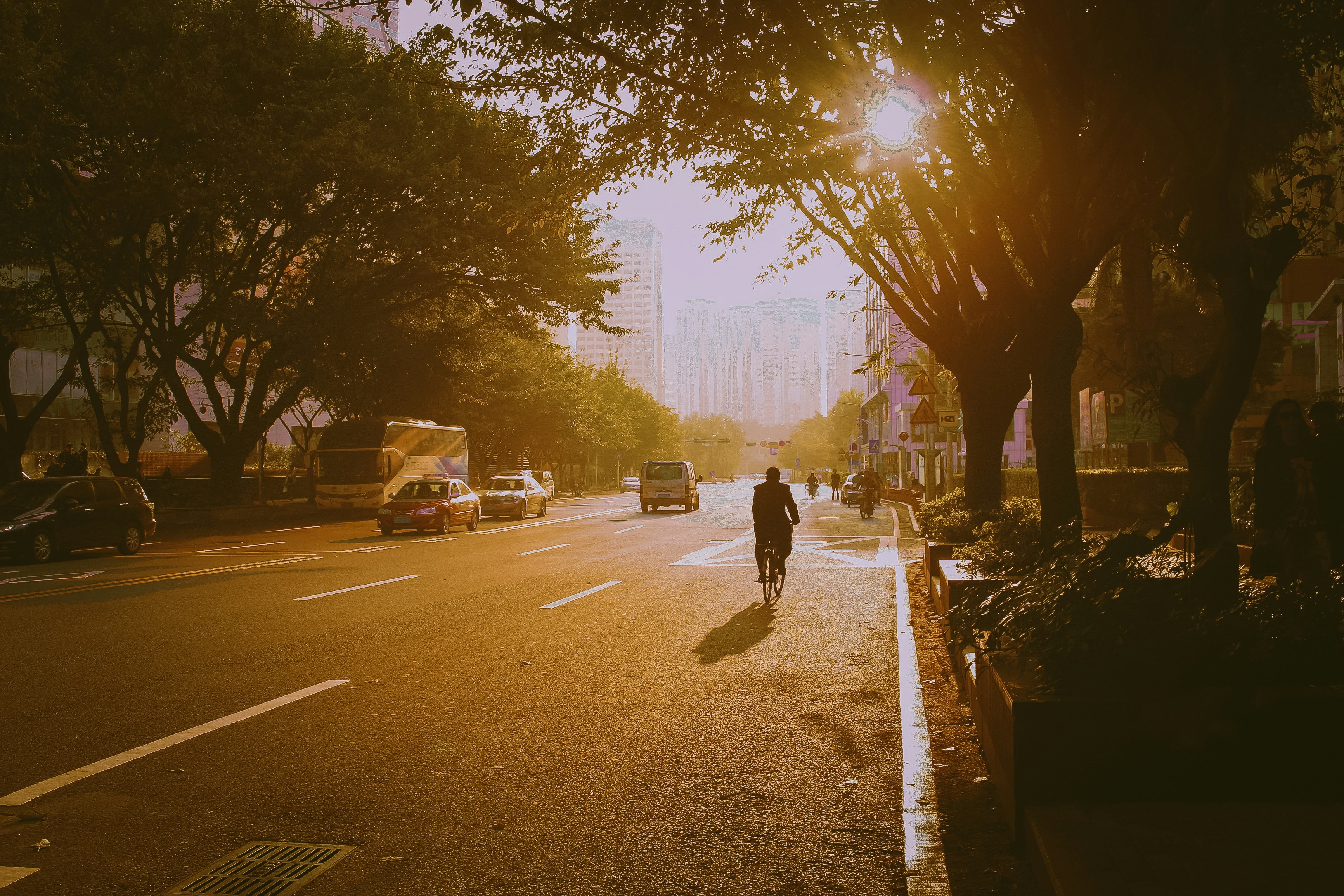 Photo by johodonne