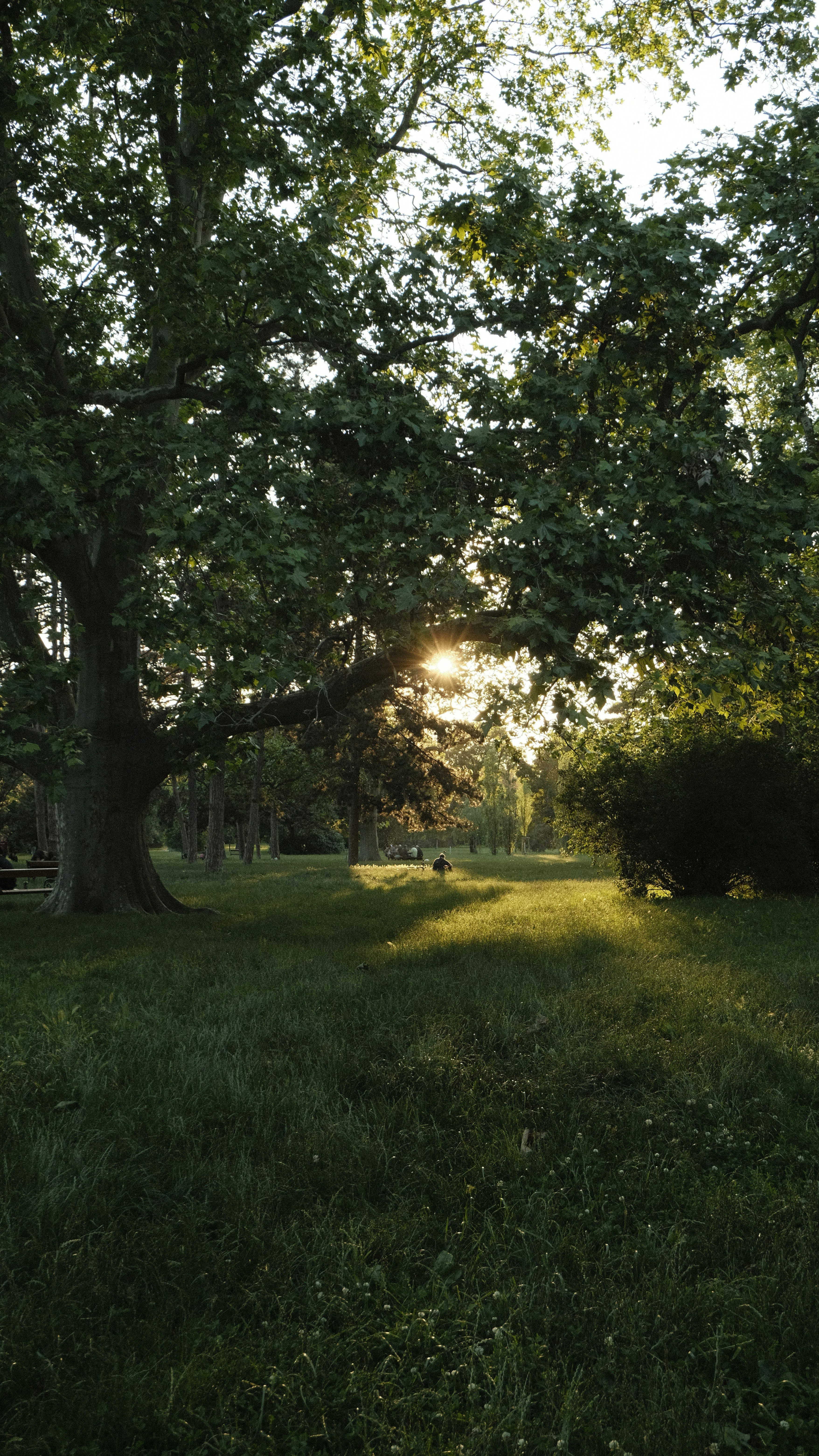 Photo by kmondschein