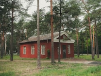 A small red brick building is surrounded by tall pine trees in a forest setting. The building has several barred windows and a weathered roof, with a path leading to its door. The environment is lush and green.