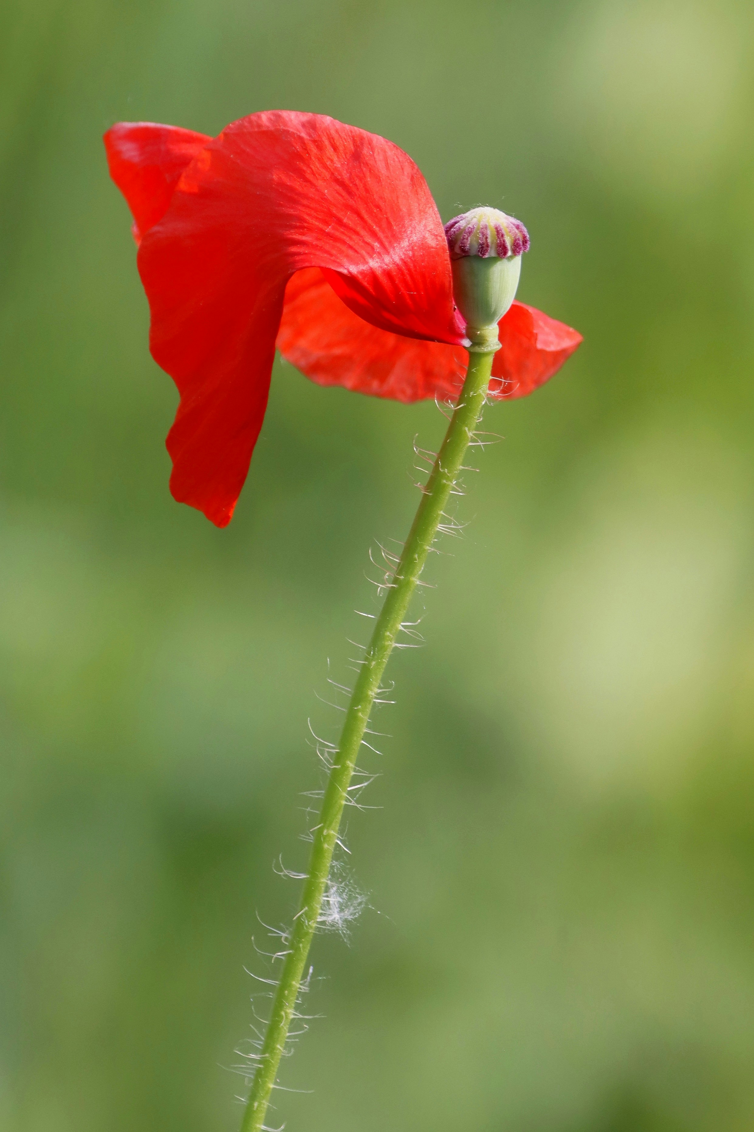 Photo by nikitaphoto