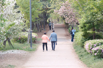 A serene shot of the couple walking hand in hand along a path lined with lilac blossoms.