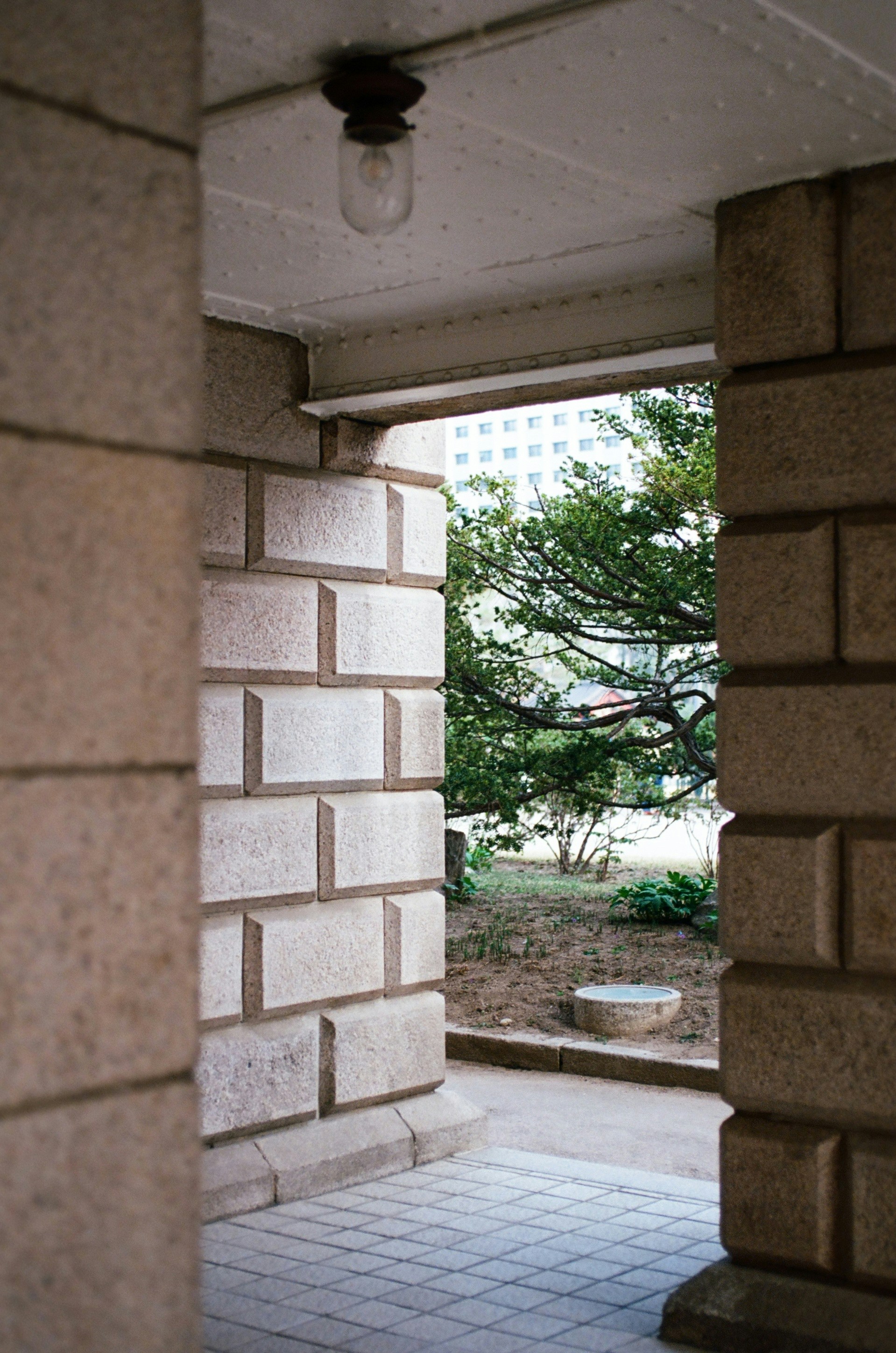 an open door leading to a patio with a tree in the background