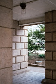 an open door leading to a patio with a tree in the background