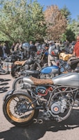 A group of motorcycles lined up in a scenic outdoor location.