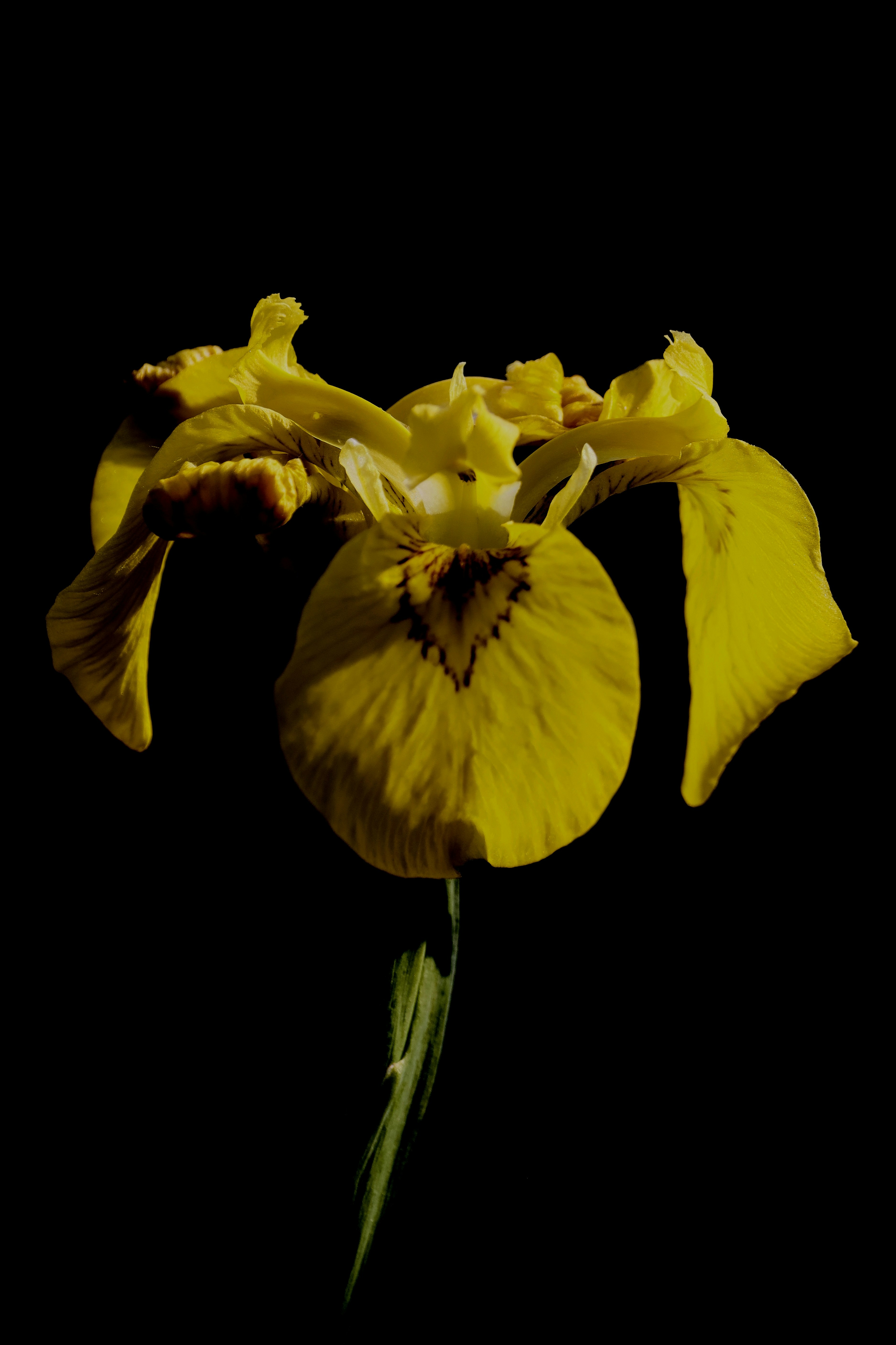 Photo by nikitaphoto