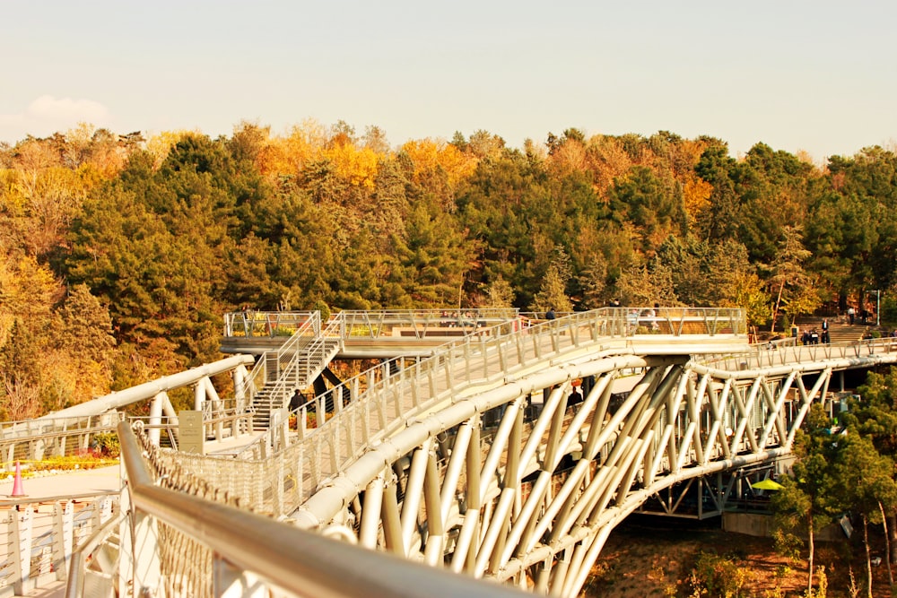 a bridge over a river surrounded by trees