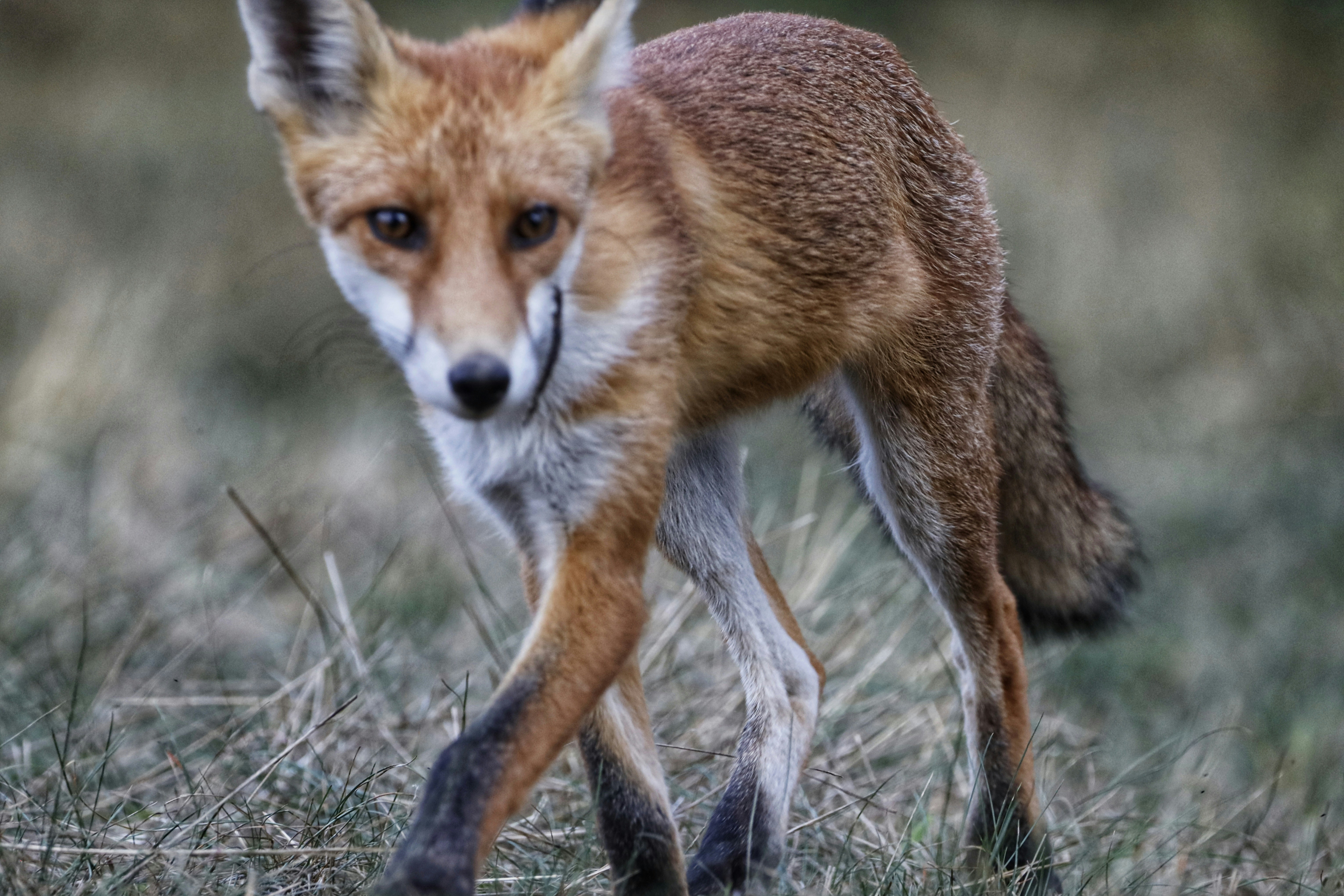 Photo by nikitaphoto