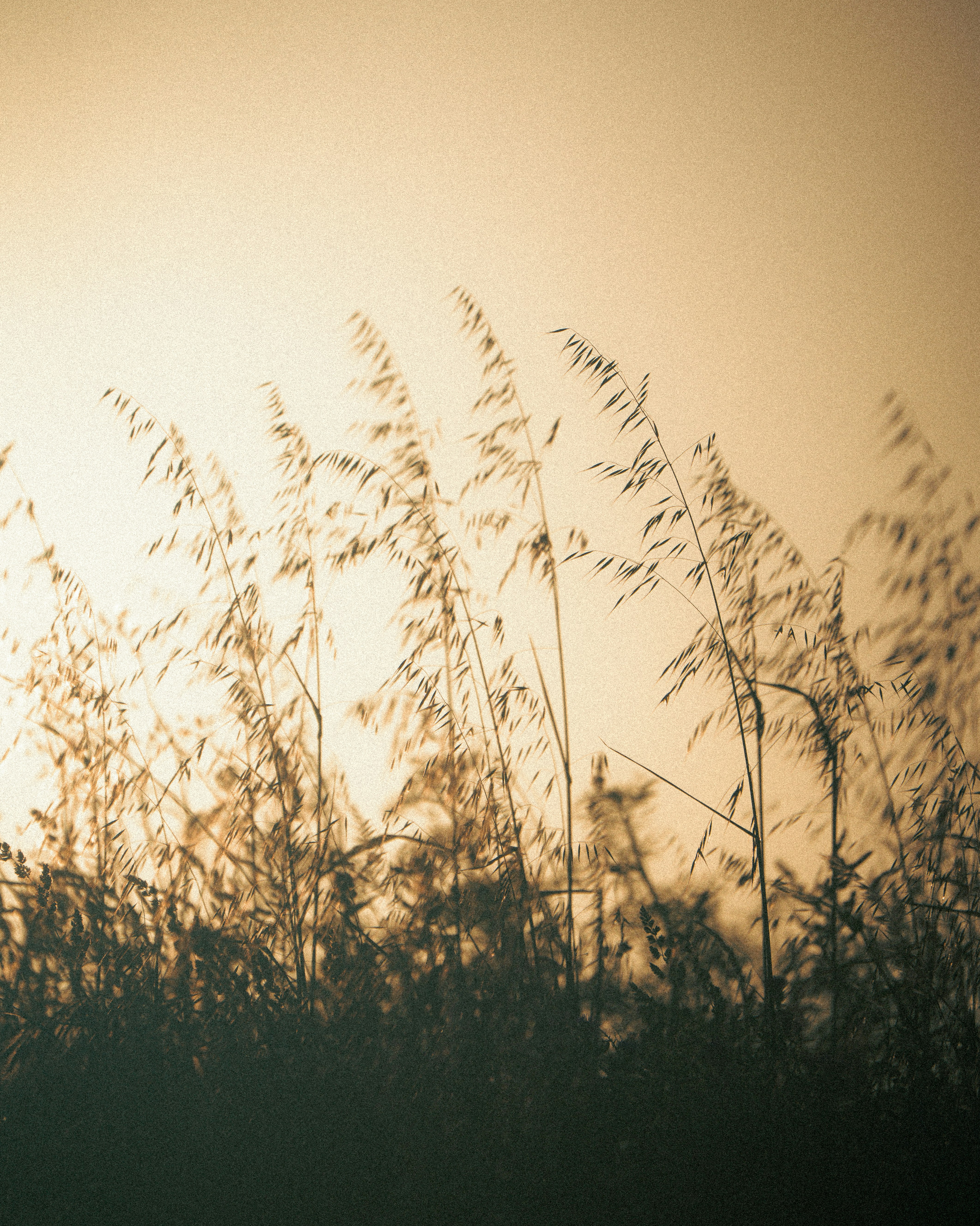 Photo by tinorischawy