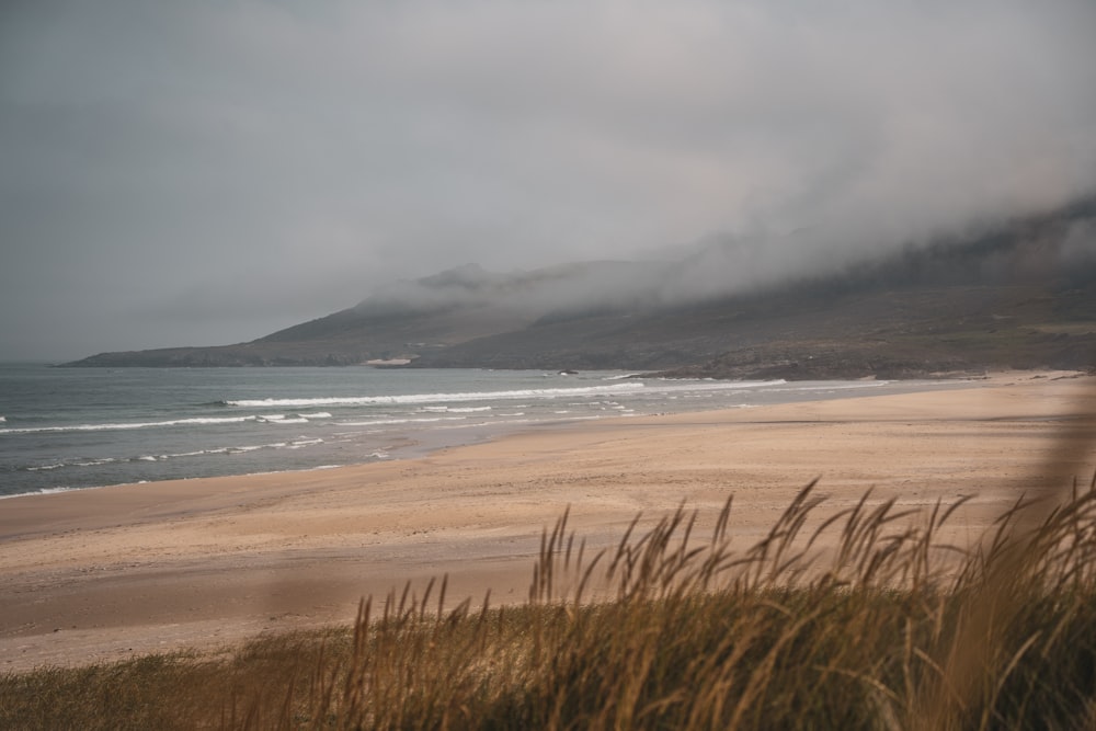 a view of a beach with a mountain in the background