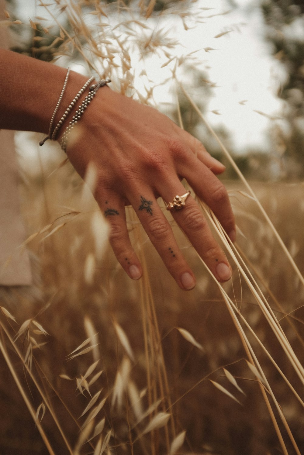 Die Hand einer Frau in einem Feld mit hohem Gras
