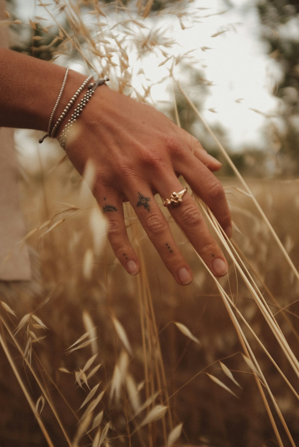 a woman's hand in a field of tall grass