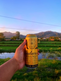 A vibrant image showcasing a bottle of Budweiser beer with Alberta's scenic backdrop.