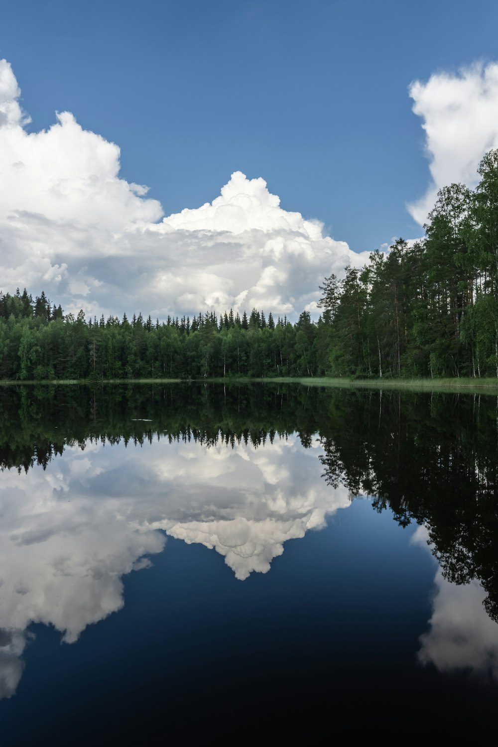 um lago cercado por uma floresta sob um céu nublado