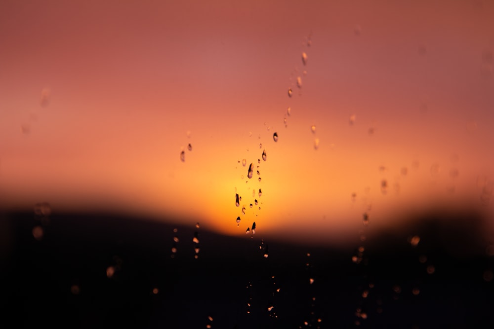 drops of water on a window with a sunset in the background