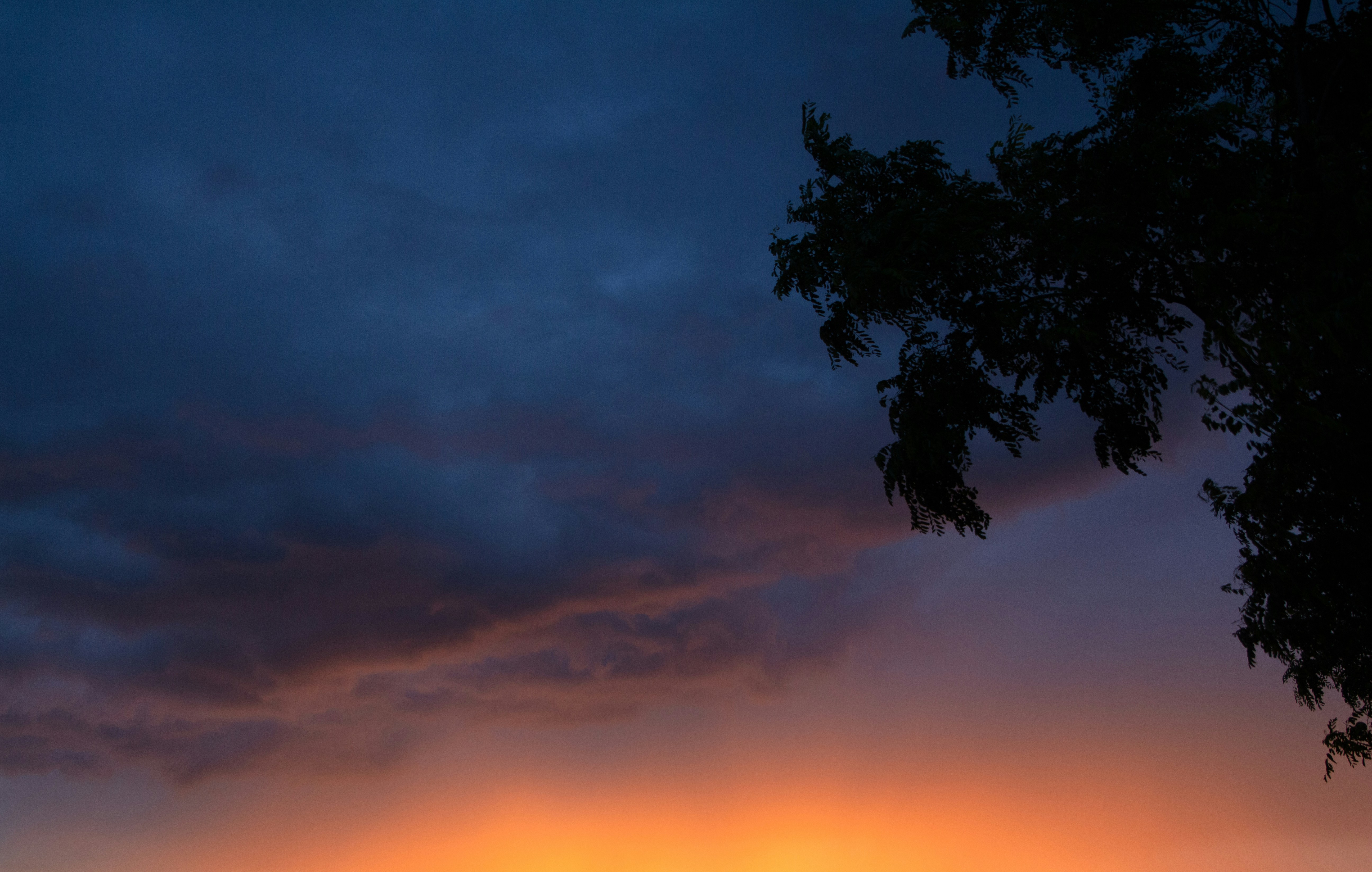 Photo by alexmartisca