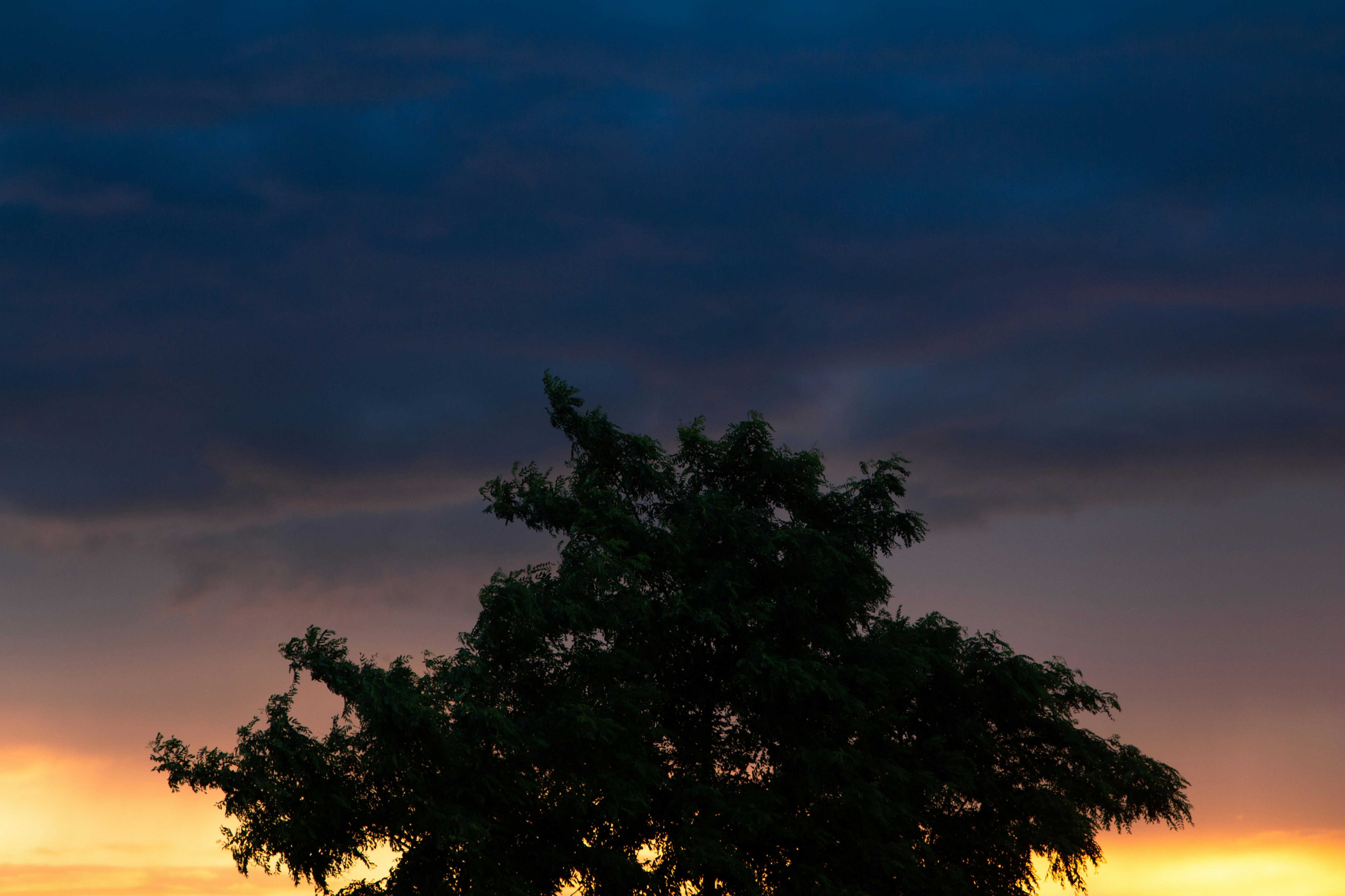 Photo by alexmartisca