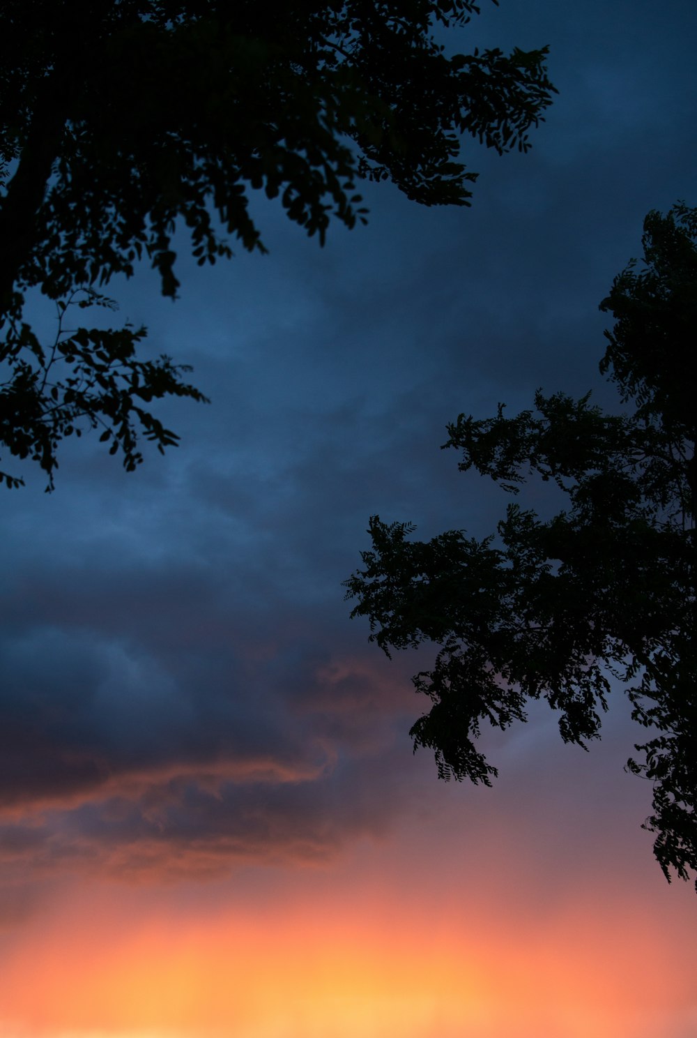 the sun is setting over a field with trees