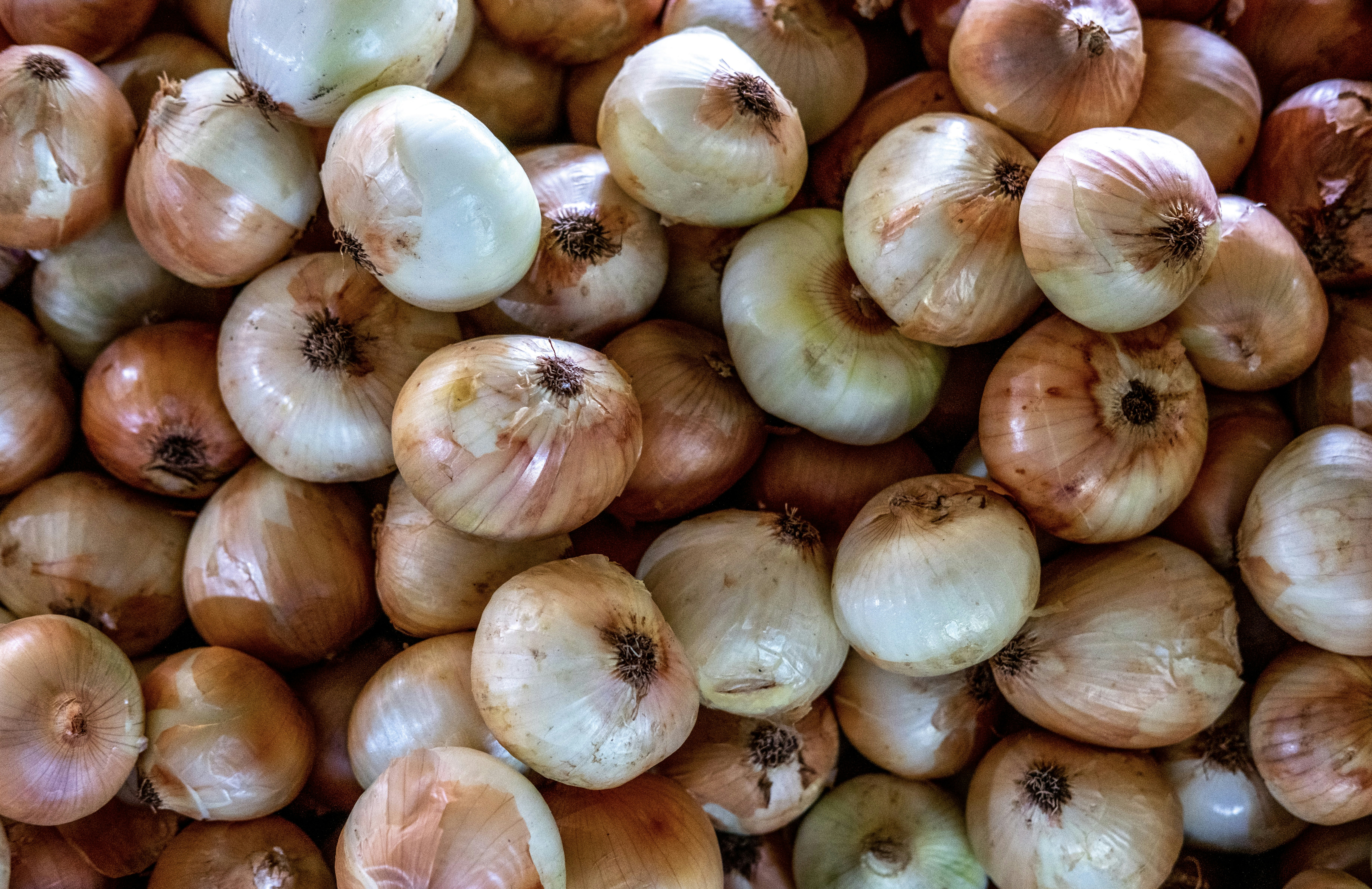 A pile of onions sitting next to each other photo Free Bornova/i̇zmir