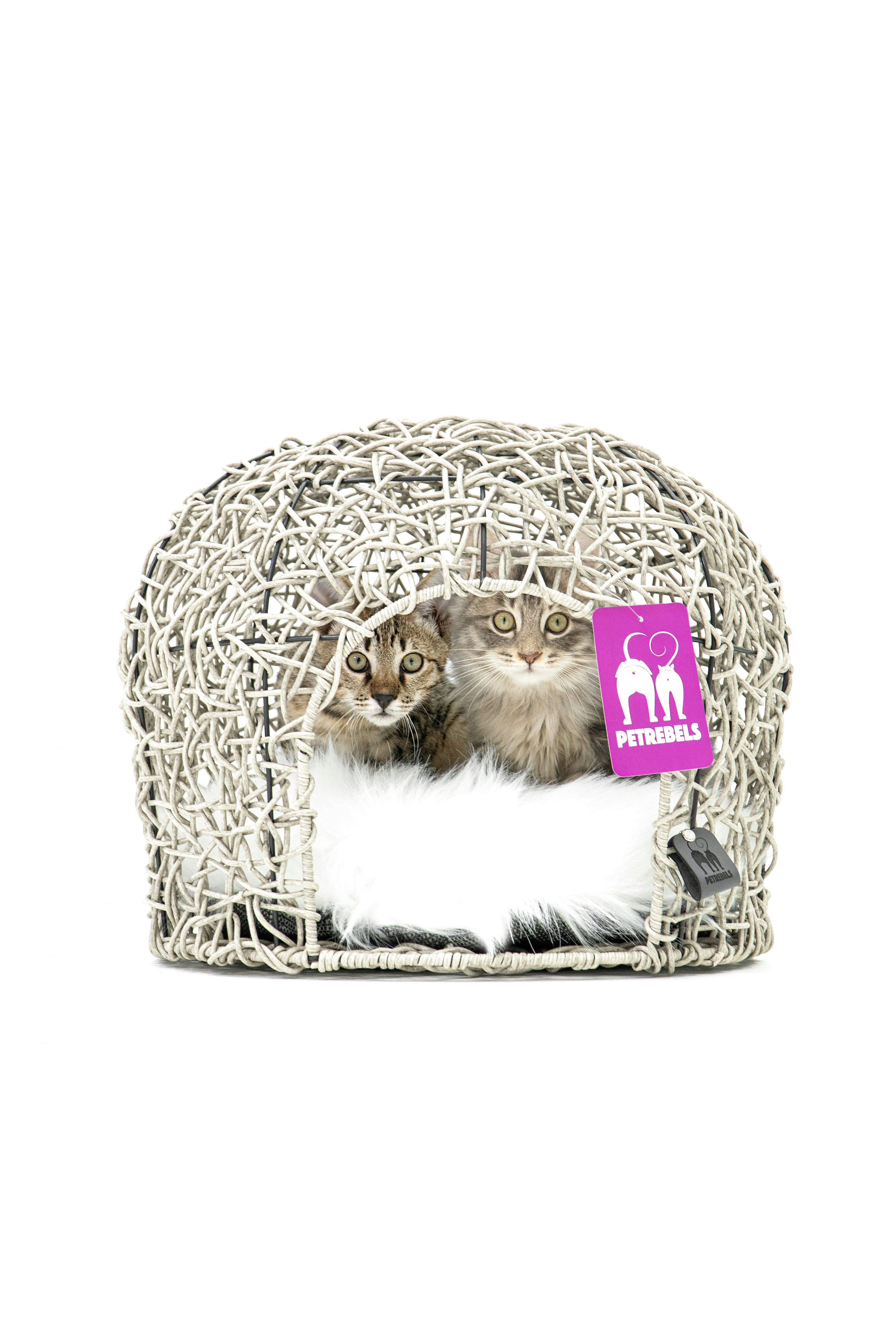 a cat laying inside of a cat bed