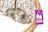 A fluffy grey kitten is sleeping on a soft white cushion inside a wicker basket. Attached to the basket is a purple tag with the text 'PETREBELS' and a playful design featuring two cats.