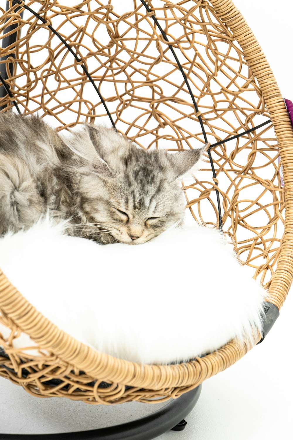 two kittens are sleeping in a wicker chair