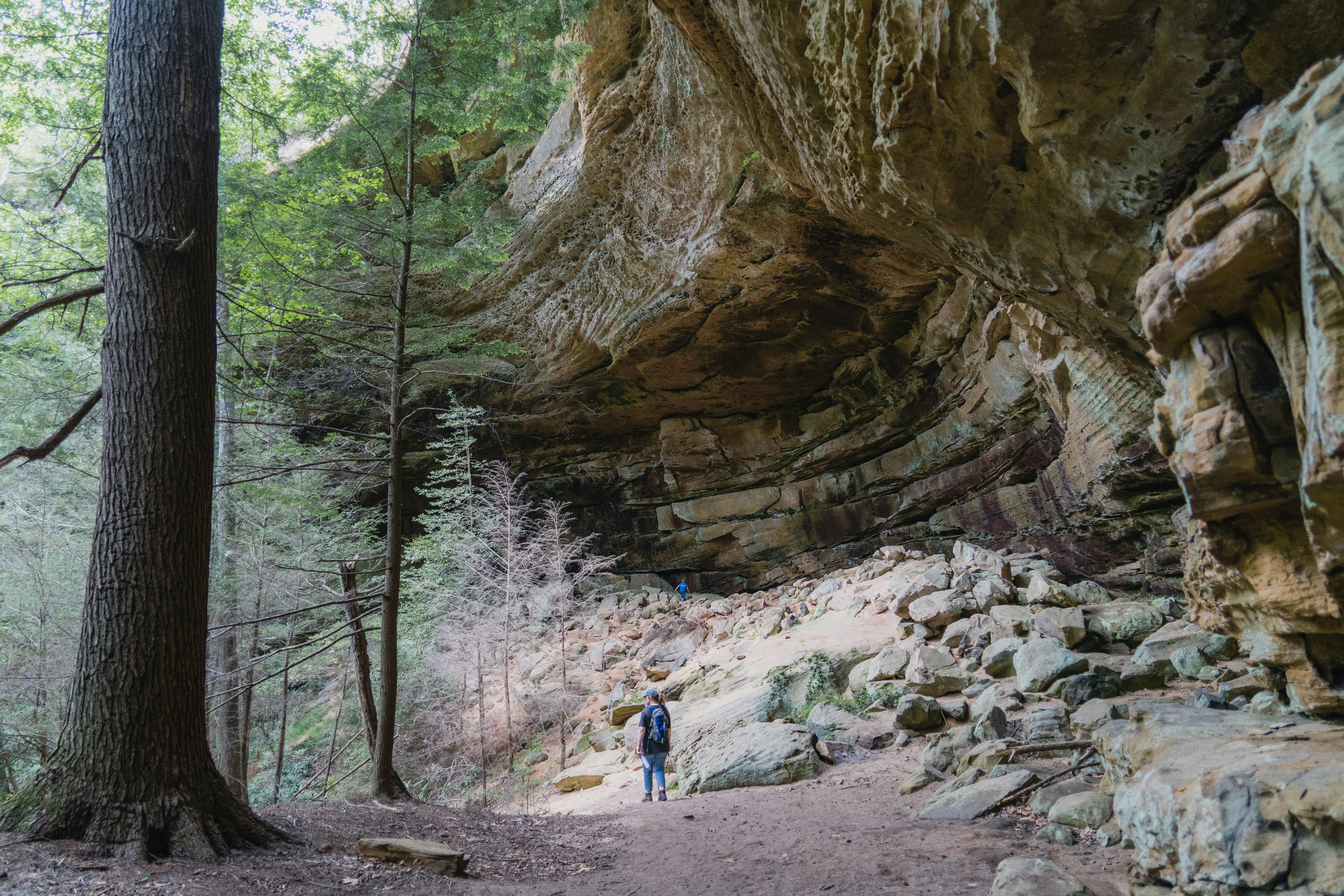 Cantwell Cliffs Trail