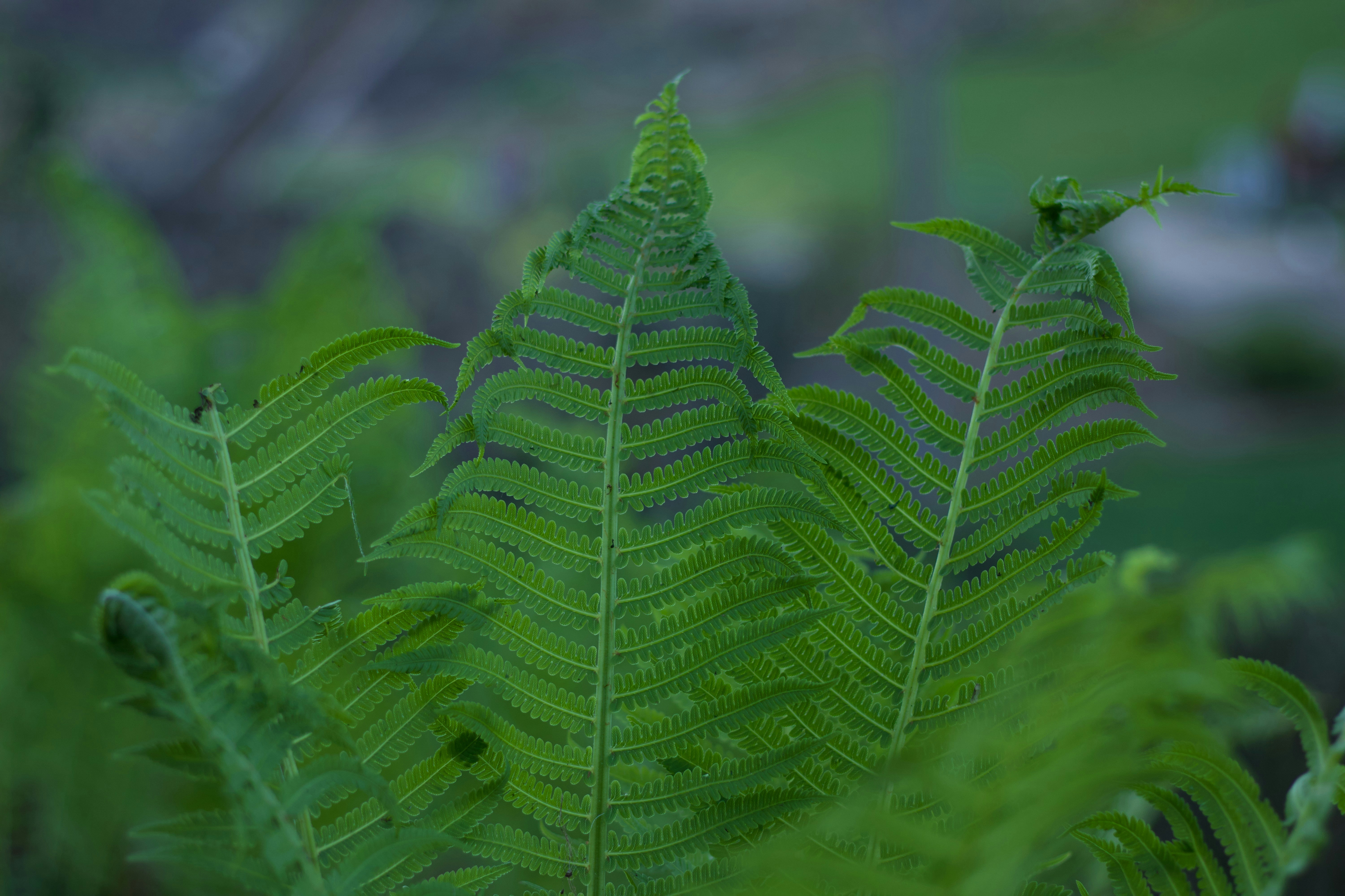 Photo by slacourse91