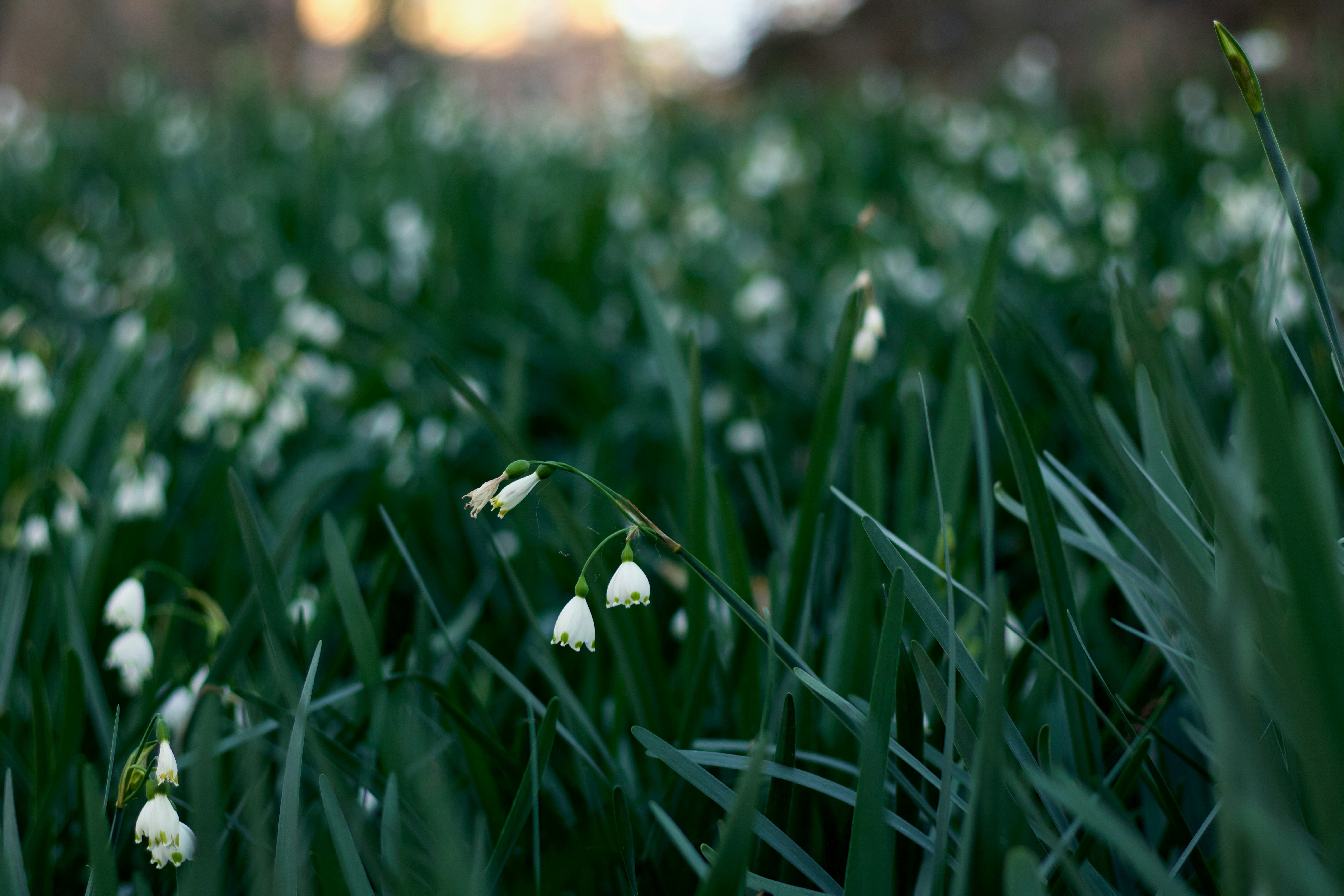 Photo by slacourse91