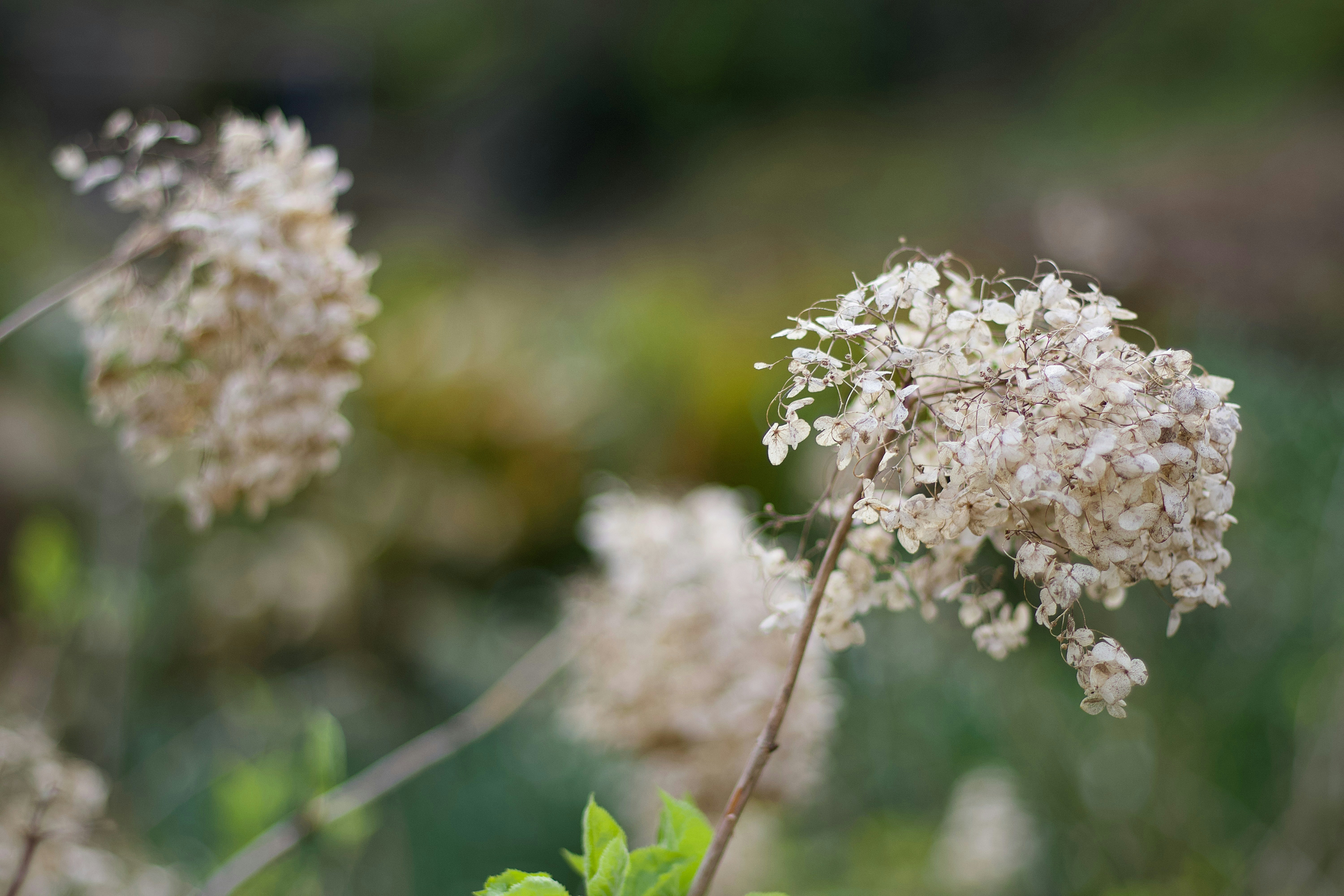 Photo by slacourse91