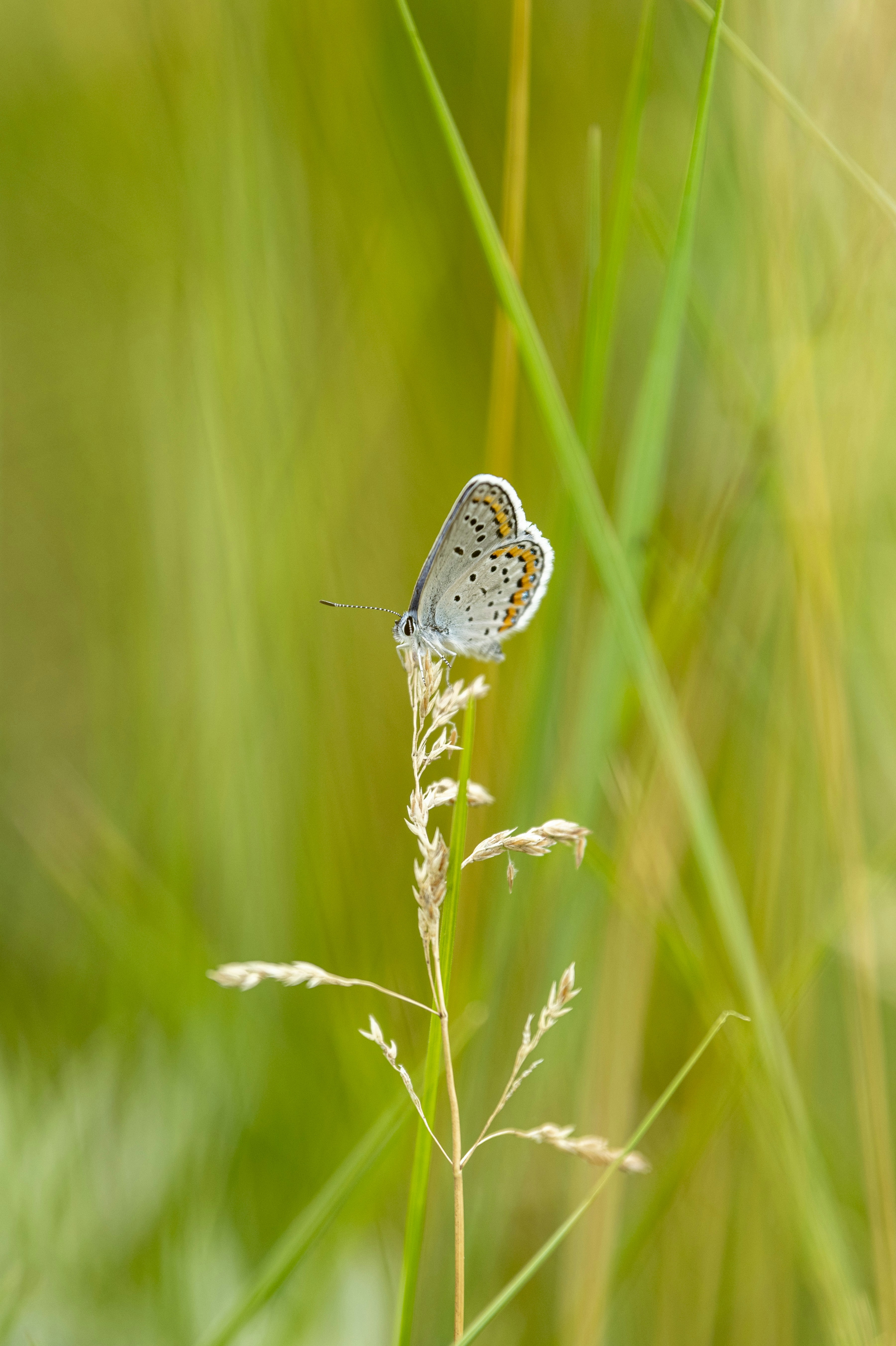 Photo by jonmsailer